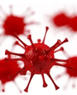 Overcoming resistance to cetuximab with honokiol, a small-molecule polyphenol